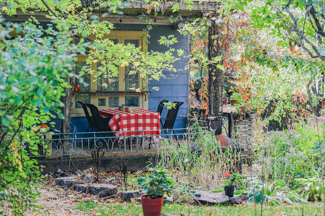 Familia latina en un patio o porche en un día cálido, ambiente cotidiano